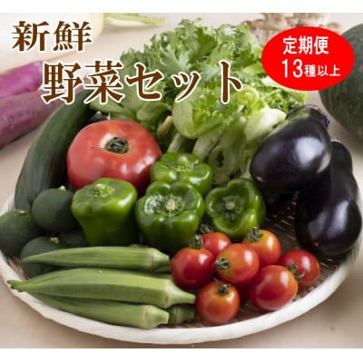 【発送月固定定期便】旬の新鮮野菜セット 13種以上 奇数月発送 和歌山産全6回