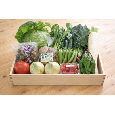 【発送月固定定期便】旬の新鮮野菜セット 13種以上 奇数月発送 和歌山産全6回