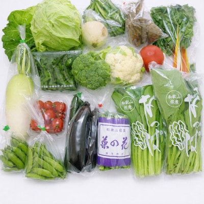 【発送月固定定期便】旬の新鮮野菜セット 13種以上 奇数月発送 和歌山産全6回