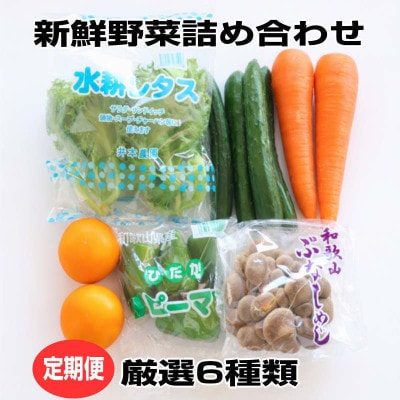 【毎月定期便】旬の新鮮野菜セット6種類 和歌山産【野菜詰め合わせ】全3回
