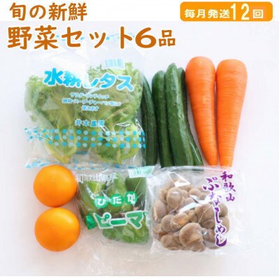 【発送月固定定期便】旬の新鮮野菜セット 6品目【野菜詰め合わせ】全12回