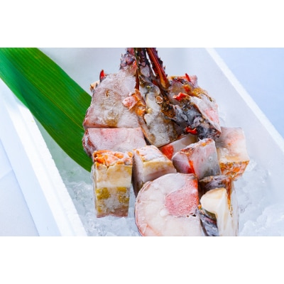 冷凍伊勢海老カット(サイズ不揃い)約2kg(印南町)