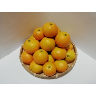 ゆら早生みかん　5kg(2S～Mサイズ混合)(印南町)