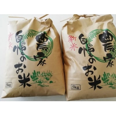 キヌヒカリ10kg(2022年産)印南町