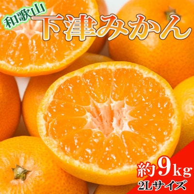 【産直・秀品】和歌山下津みかん約9kg(2Lサイズ) (印南町)
