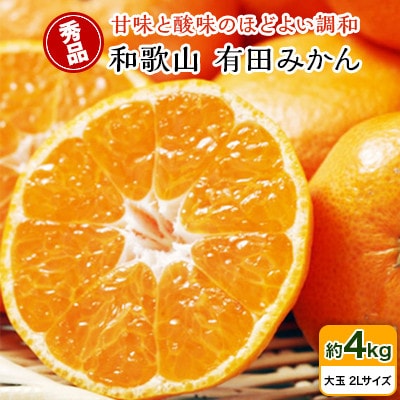[秀品]和歌山有田みかん約4kg(2Lサイズ)