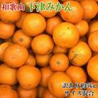 【訳あり】和歌山下津みかん約5kgご家庭用向け(サイズ混合) (印南町)