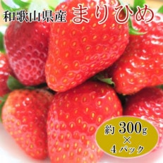 【2024年3月発送】和歌山県産ブランドいちご「まりひめ」約300g&times;4パック入り(印南町)