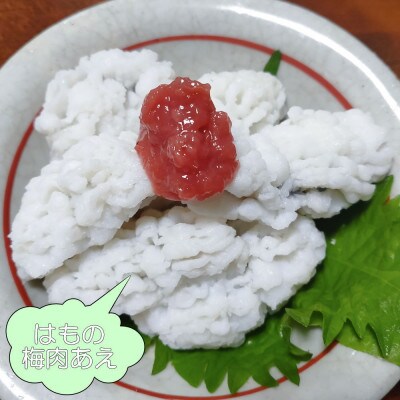 完熟紀州南高梅使用のこだわり調味ねり梅70g×8個入り(印南町)