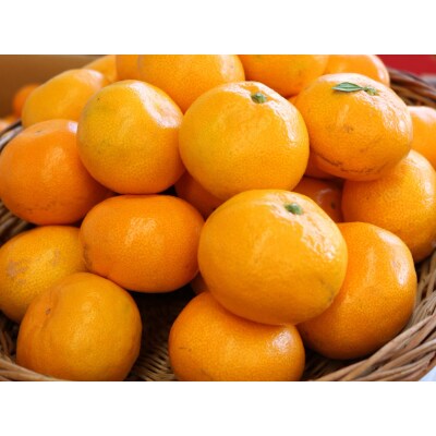 みかんの産地和歌山の農園直送!北村農園の天田みかん3kg