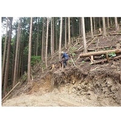 【和歌山県印南町産】スギの正角材ベンチ　1脚