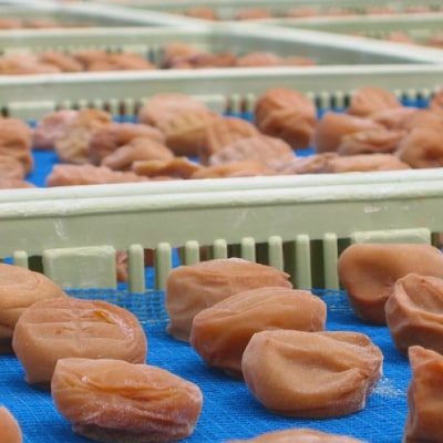 紀州南高梅　はちみつ入り味梅　1.2kg　ご家庭用