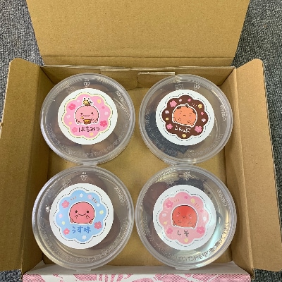 和歌山　紀州南高梅　食べ比べお試しセット　60g×4種類