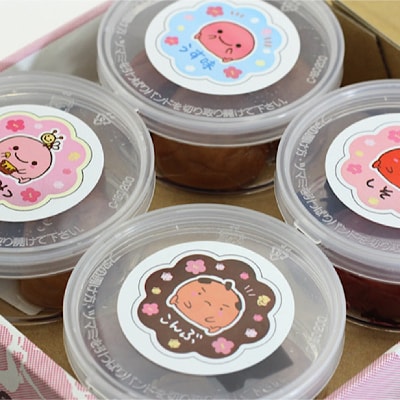 和歌山　紀州南高梅　食べ比べお試しセット　60g×4種類　【2箱】