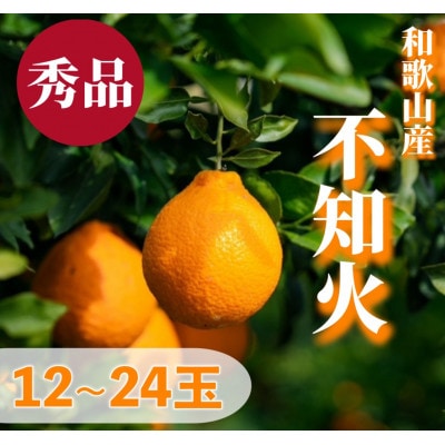 和歌山産　不知火　【12玉～24玉】秀品