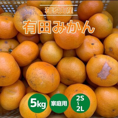 和歌山県産　有田みかん　5kg　家庭用