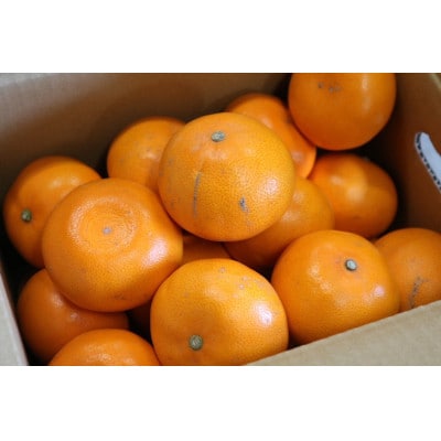 せとか　約3kg　家庭用