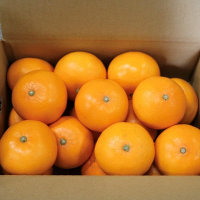 せとか　約5kg　秀品　