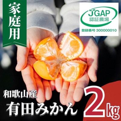 2026年11月より順次発送【まごころ手選別】和歌山有田みかん2kg家庭用(2S～2Lサイズ混合)
