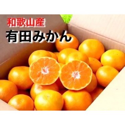 先行受付2026年11月より順次発送【まごころ手選別】有田みかん5kg(2S～Lサイズ混合)