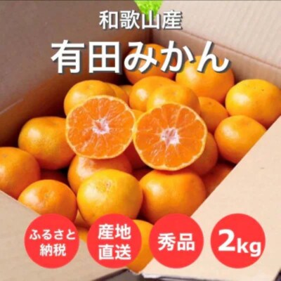 2026年11月より順次発送【まごころ手選別】和歌山県有田みかん2kg(2S～Lサイズ混合)