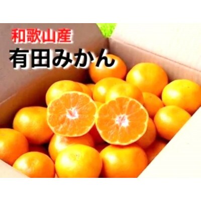 先行受付2026年11月より順次発送【まごころ手選別】有田みかん約4kg(2S～L)補償分+2～4個