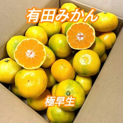 先行予約10月中旬より順次発送【まごころ手選別】和歌山県有田みかん(極早生)3kg (2S～L)