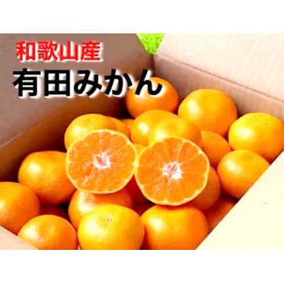 2026年11月より順次発送【まごころ手選別】有田みかん3kg(2S～Lサイズ混合)補償分+2～4個