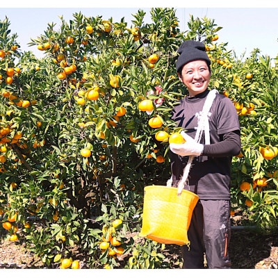 2026年11月より順次発送【まごころ手選別】有田みかん3kg(2S～Lサイズ混合)補償分+2～4個
