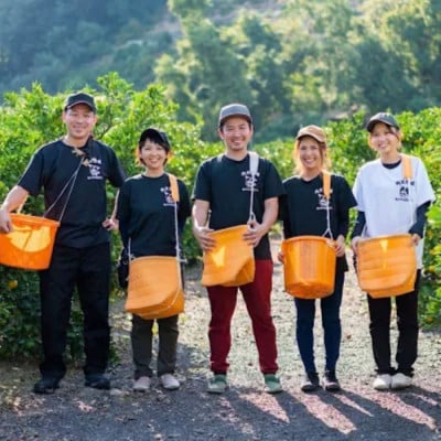11月より順次発送【まごころ手選別】和歌山県有田みかん1kg家庭用(2S～2L)+補償分2～4個