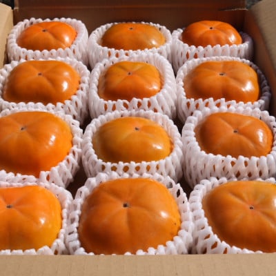 和歌山県産　柿　2.5kg