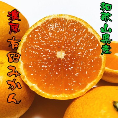 【2022年11月中旬～発送】【和歌山有田ブランド】農家直送!ご家庭用訳あり濃厚有田みかん約10kg