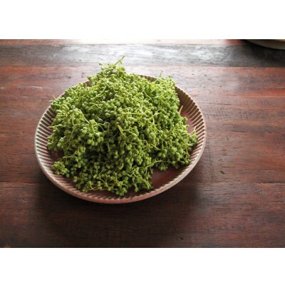 【熊野牛】紀州ごちそうオードブルセット