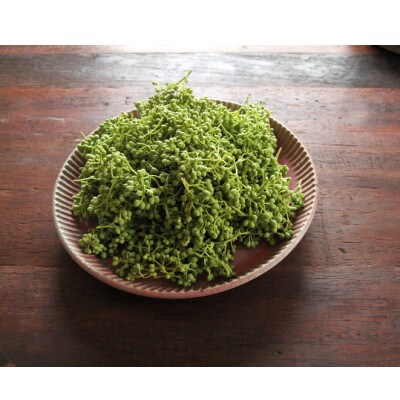 熊野牛　赤身スライス　すき焼き、しゃぶしゃぶ　700g(粉山椒付)