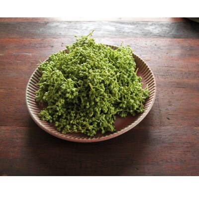 熊野牛　サーロインブロック　2kg(粉山椒付)