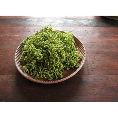 熊野牛　ロースステーキ　1kg(粉山椒付)