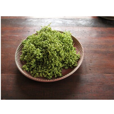 熊野牛　焼肉セット　1kg(粉山椒付)