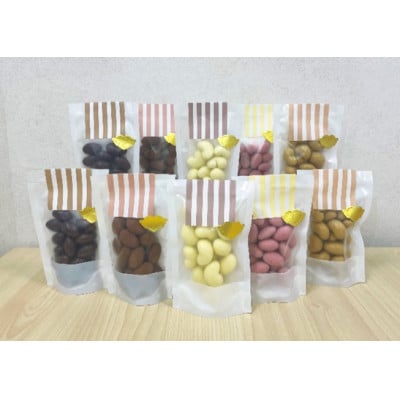 【2024年2月発送】チョコレートメーカーのナッツチョコ10袋