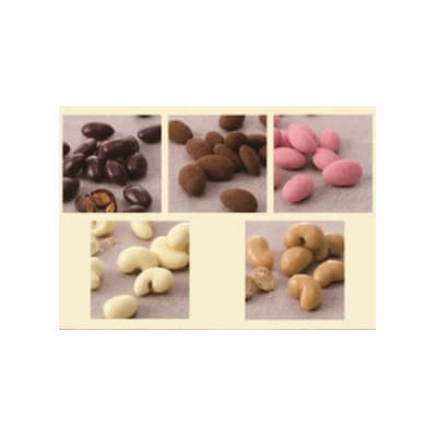 【2024年2月発送】チョコレートメーカーのナッツチョコ10袋