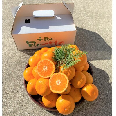 地元印南町産の完熟温州みかん3kg(S～Lサイズ)