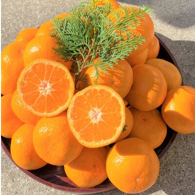 地元印南町産の完熟温州みかん3kg(S～Lサイズ)