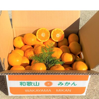 地元印南町産の完熟温州みかん7.5kg(S～2Lサイズ)