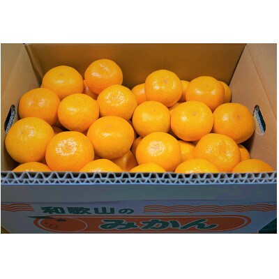 地元印南町産の完熟温州みかん5kg(S～2Lサイズ)