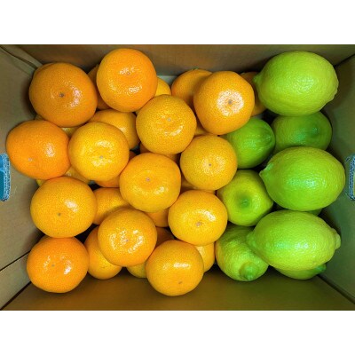 地元印南町産の完熟温州みかん3.5kg(S～2Lサイズ)とレモン1.5kgの詰め合わせ