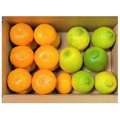 地元印南町産の完熟温州みかん1.5kg(S～2Lサイズ)とレモン800gの詰め合わせ