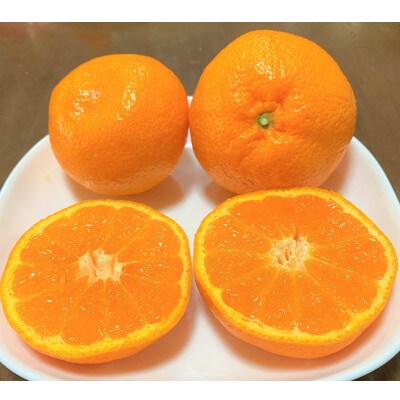 地元印南町産の完熟温州みかん1.5kg(S～2Lサイズ)とレモン800gの詰め合わせ