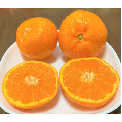 地元印南町産の完熟温州みかん3.5kg(S～2Lサイズ)とレモン1.2kgの詰め合わせ