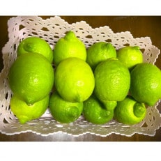 印南町産　レモン　2kg | ふるさと納税のお礼品