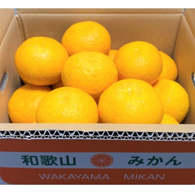 【樹熟甘夏みかん】7.5kg(20個前後)大玉L～2Lサイズ