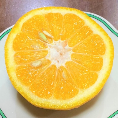 【樹熟甘夏みかん(家庭用訳あり)】 7.5kg(20個前後)大玉L～2Lサイズ